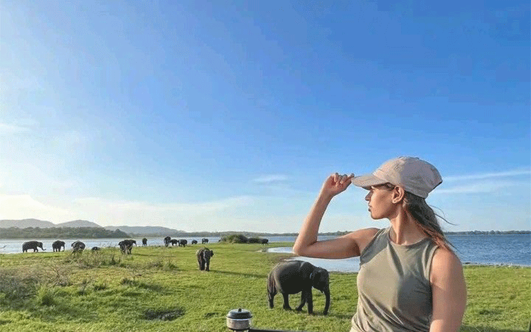 Minneriya National Park Safari | Wildlife Experience in Sri Lanka